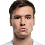 Božo Mikulic