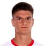 N. Djuricic