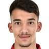 K. Bertelli
