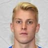 N. Heidemann