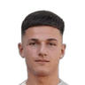 G. Babic