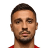 R. Krunic