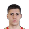 F. Domazetovic
