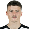 S. Telalovic