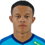 Pedro Henrique