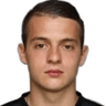 N. Mihajlovic