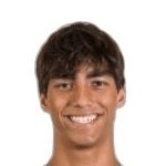 Martín Krug