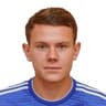 R. Minaev