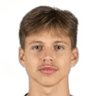 Z. Zuzek