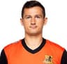 Nerijus Valskis